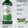 Ingredientes naturales en gotas líquidas de clorofila Horbäach