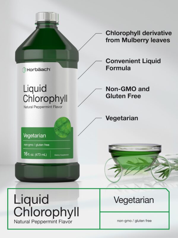 Ingredientes naturales en gotas líquidas de clorofila Horbäach
