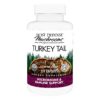Version 1.0.0 Host Defense cápsulas turkey tail para salud digestiva
