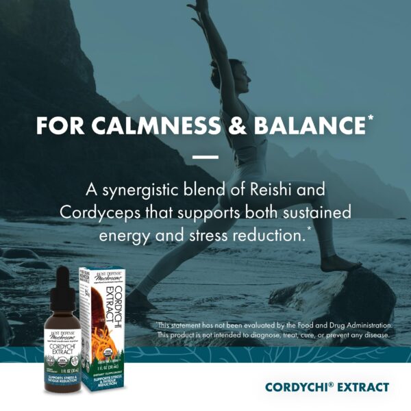 Extracto de hongo Host Defense CordyChi apoyo energía y relajación