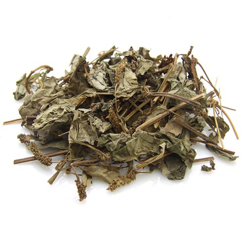 Version 1.0.0 Houttuynia Cordata hierba hoja suelta importada Corea del Sur