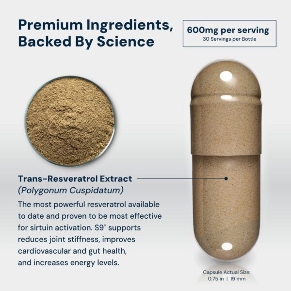 Version 1.0.0 Frasco en vista lateral