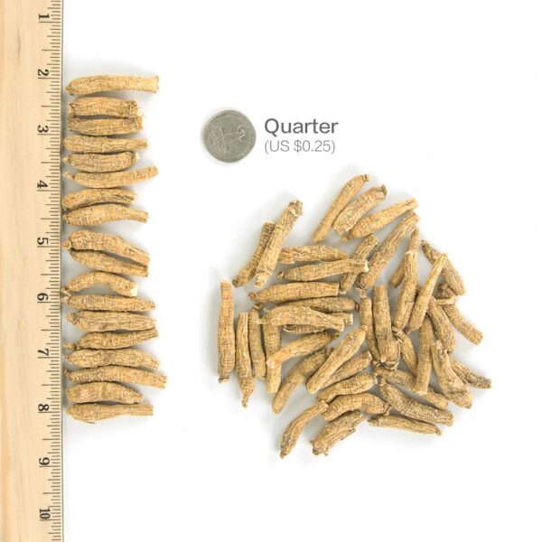Hsu's ginseng raíces cultivadas pequeñas cortas #2 4oz imagen 2