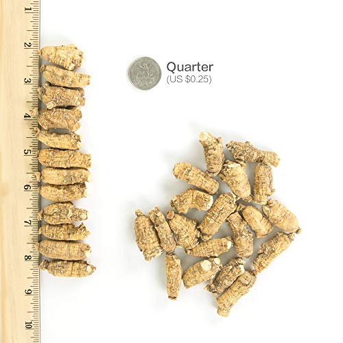 Version 1.0.0 Hsu's ginseng raíz para té y cocina 4oz caja