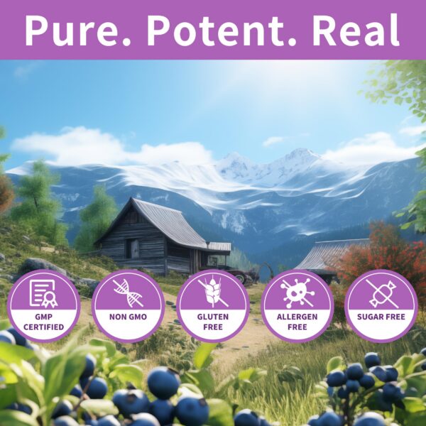 Version 1.0.0 Caja lateral de Hudetex Blueberry Lutein Gummies