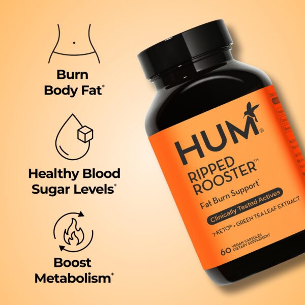 Version 1.0.0 Etiqueta de té verde y cromo