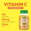 Paquete Human Beanz gomas vitamina C suplemento adulto