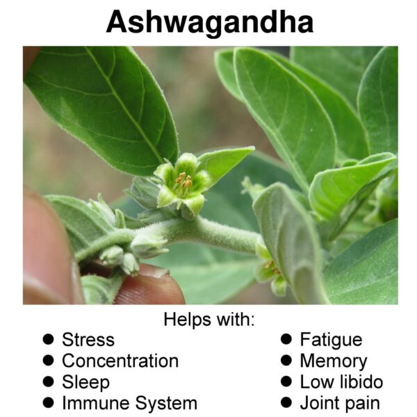 Cápsulas de ashwagandha con pimienta