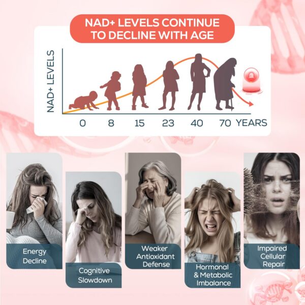 Cápsulas de NAD liposomal alineadas