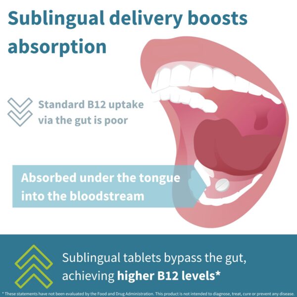 Version 1.0.0 Sabor natural fresa sin azúcar en envase