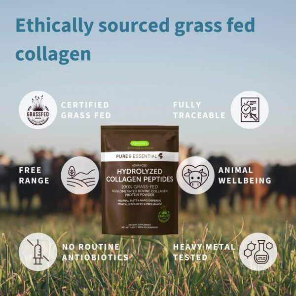 Polvo de colágeno bovino hidrolizado