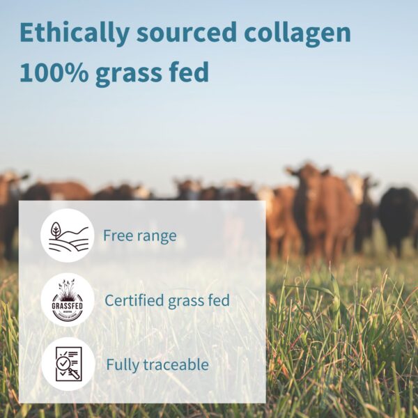 Etiqueta de ingredientes Igennus collageno