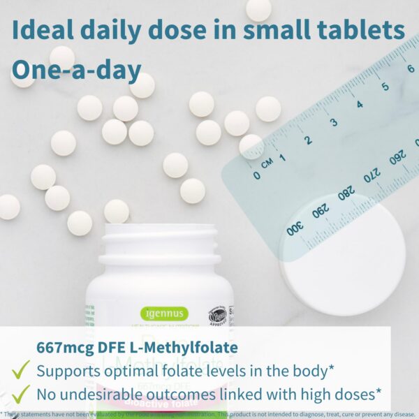 Version 1.0.0 Frasco y contenido de folato