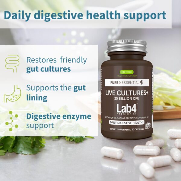 Frasco de polvo de proteína vegana