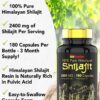 Version 1.0.0 Información ingredientes cápsulas Shilajit tnvitamins
