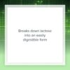 Información nutricional enzima lactasa Natural Factors