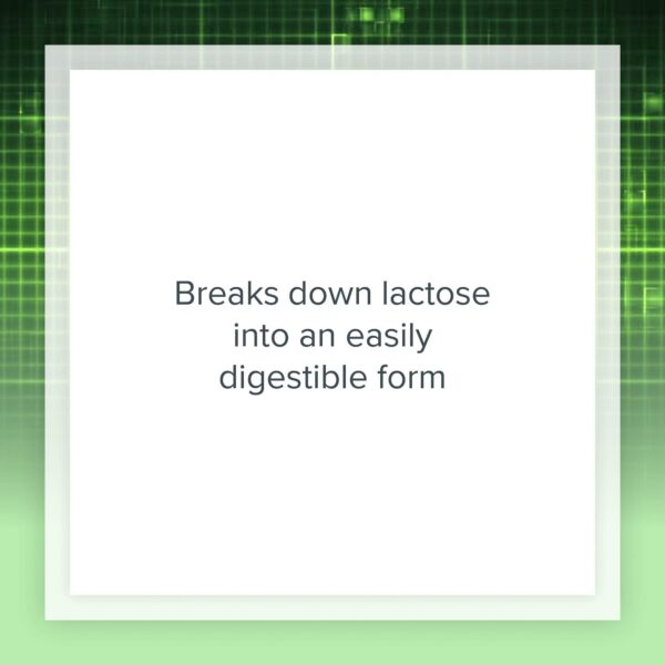 Información nutricional enzima lactasa Natural Factors