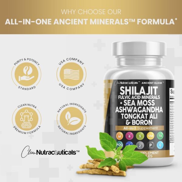 Información nutricional de suplemento de shilajit Clean Nutraceuticals