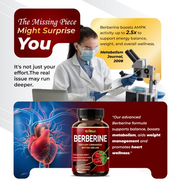 Version 1.0.0 Detalles información suplemento GriMed Berberina