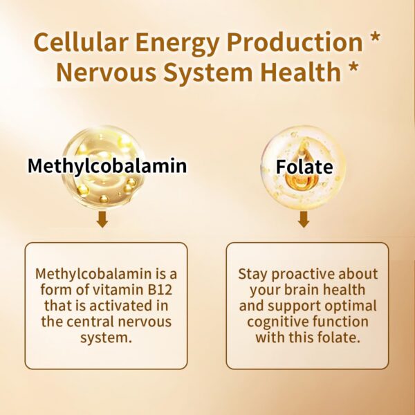 Version 1.0.0 Información suplemento Oppuland Metil B12 5000mcg
