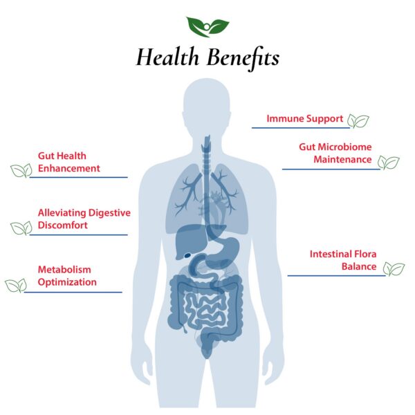 Polvo probiótico Foods For Gut ingrediente Bifidobacterium Lactis