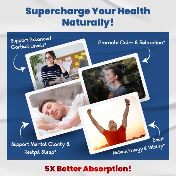 Ingrediente mezcla fórmula Cortisol Wellness Vegatot