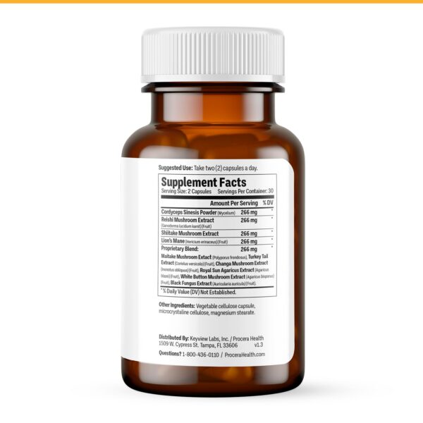 Ingredientes activos de hongos en suplemento Procera Mega Mushroom