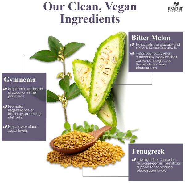 Version 1.0.0 Ingredientes-ayurveda-gluco-support-akshar-lista