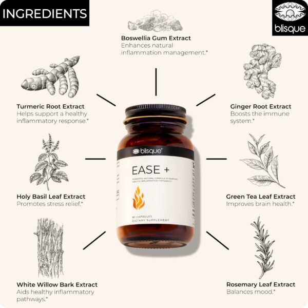 Ingredientes Blisque suplemento antiinflamatorio