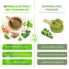 ingredientes-capsulas-fitvitality-moringa-premium
