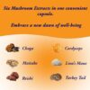 Ingredientes de cápsulas de hongos Earth Cap