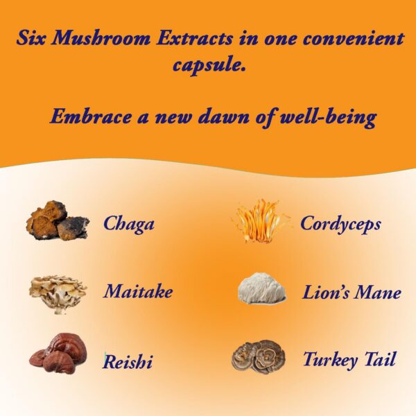 Ingredientes de cápsulas de hongos Earth Cap