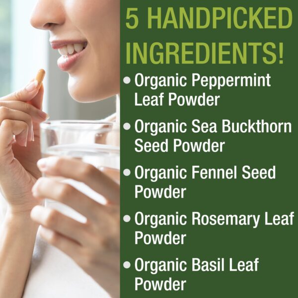 Version 1.0.0 Ingrediente cápsulas orgánicas menta y espino amarillo