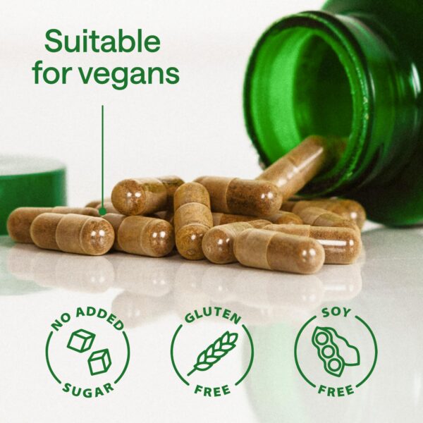 Ingredientes cápsulas WONDER FAMILY Ashwagandha GABA L-Teanina