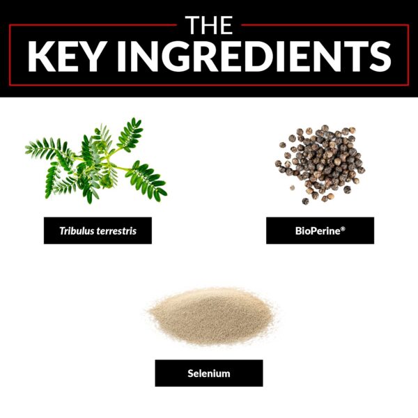 Ingredientes Force Factor Tribulus Terrestris Max 2000mg