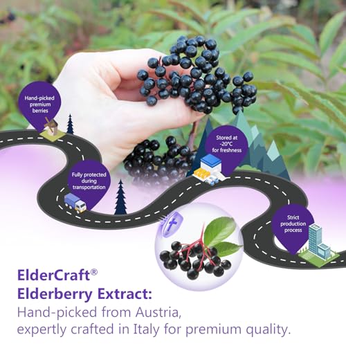 Ingredientes gomitas Biobor saúco negro saludable