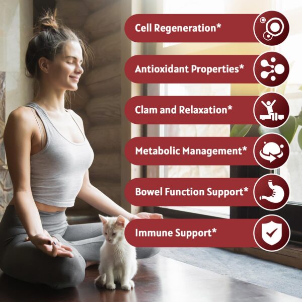 Ingredientes de Gotas Líquidas de Guanábana Graviola GORNVB