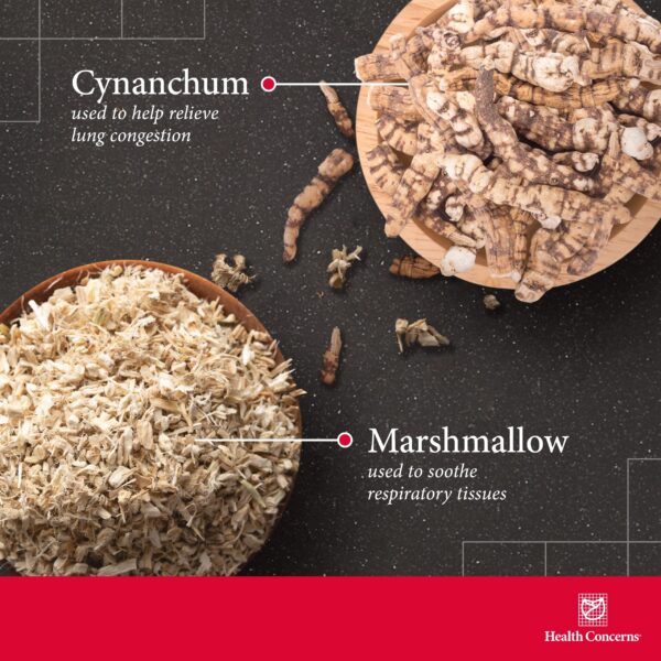 Ingredientes herbales tradicionales chinos