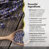 Ingredientes Irwin Naturals Stress-Defy Sleep PM