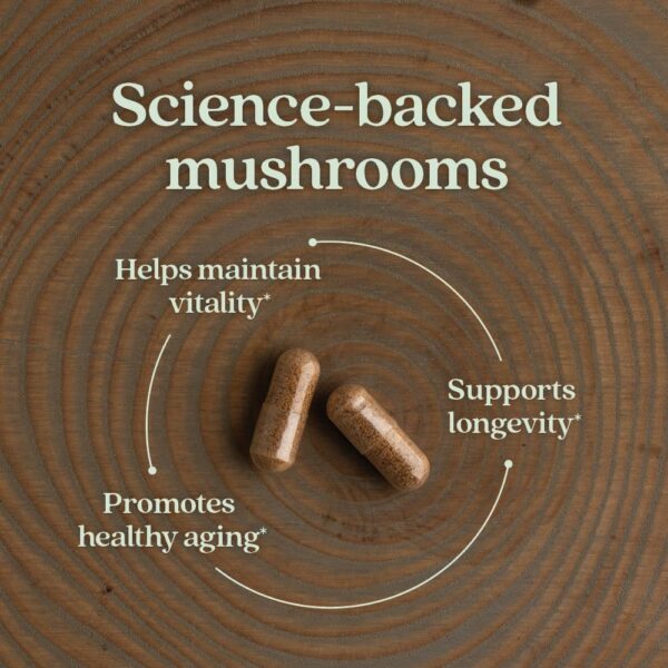 Ingredientes naturales LifeShield Reishi New Chapter setas orgánicas