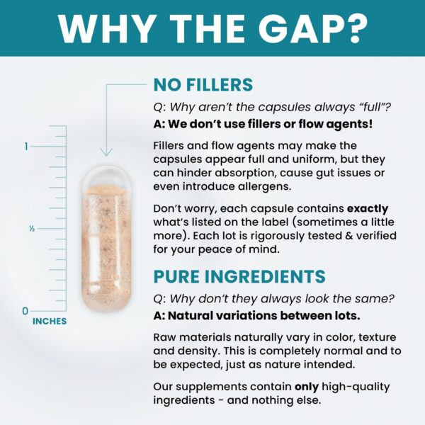 Ingredientes de alta calidad en Methyl Multi Sin Hierro