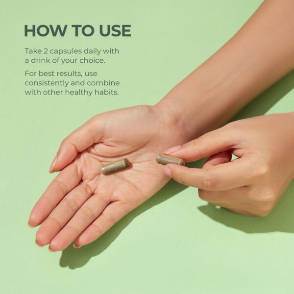 Ingredientes mezcla herbal y fibras desintoxicación Primal Harvest