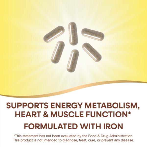 Ingredientes mezclas vegetales en Nature's Way Alive