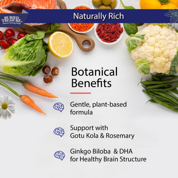 Ingredientes naturales Buried Treasure Neuro Nectar