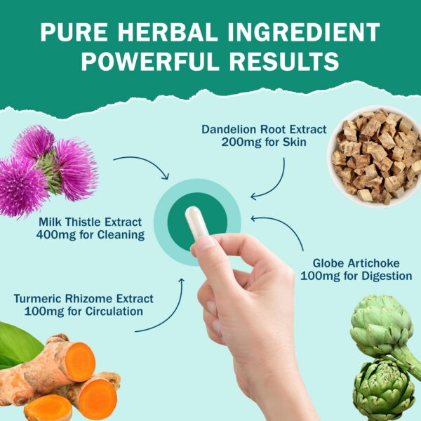 Ingredientes naturales cápsulas cardo mariano NYO3