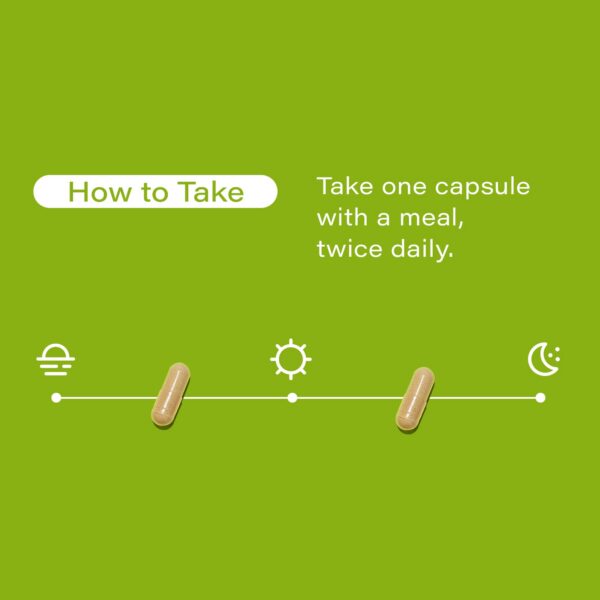 Version 1.0.0 Ingredientes naturales enzimas digestivas HUM