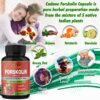 Ingredientes naturales en fórmula Cadane Forskolin