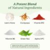 Ingredientes naturales en gomitas WonderFocus cerebrales