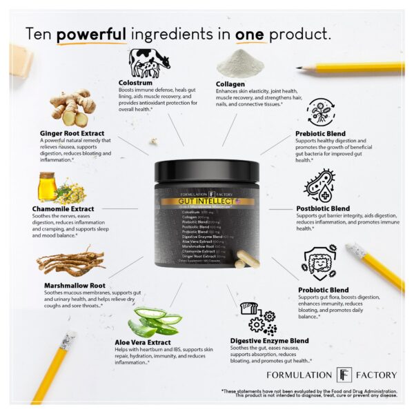 Ingredientes naturales en fórmula Gut Intellect para digestión