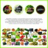 Version 1.0.0 Ingredientes naturales de Manda Wellness Superfood fermentado